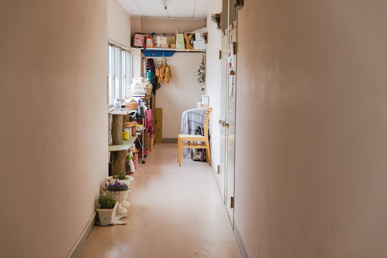 【写真】住民の荷物や植物たちが置かれたぶんじ寮の廊下