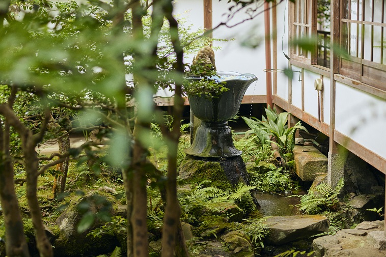 【写真】法然院の中庭にある水鉢と緑の木々