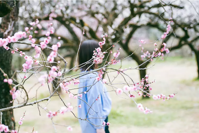 【写真】梅の花が咲く木の向こう側に、女性が右の方向を向いて立っている。