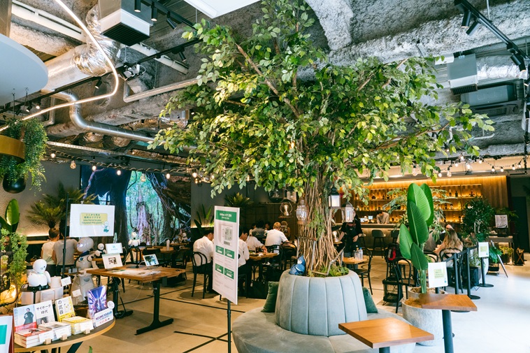 【写真】カフェDAWNの店内中心近くには大きな観葉植物が置かれている