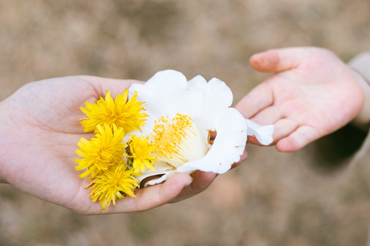【写真】子どもが白い椿の花を女性の手にのせている